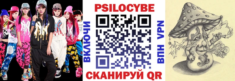 Псилоцибиновые грибы мухоморы  где купить наркоту  Правдинск 